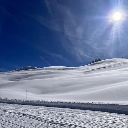 Cecile Chalet Praz-sur-Arly