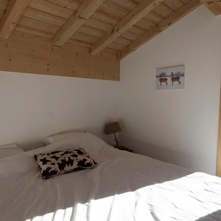 Chalet Cecile Praz-sur-Arly